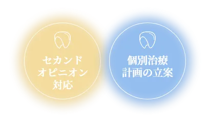 セカンド オピニオン 対応 個別治療計画の立案